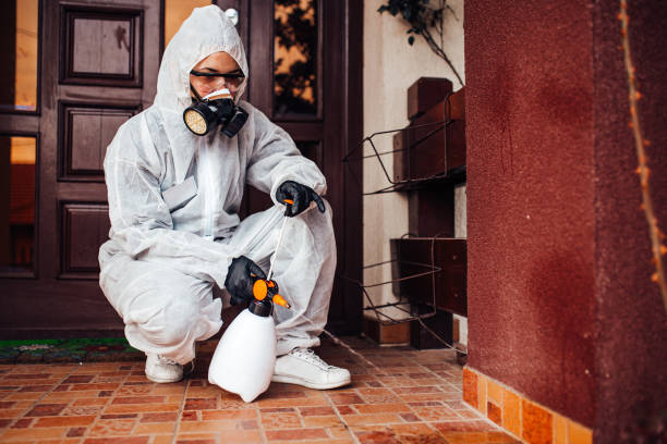Reliable Wasp Removal contractor in The Villages, FL by Show Me Pest Control